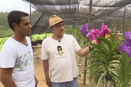 reportagem-aprovado
